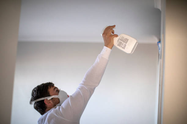 Reliable Huntsville, AL Mold Remediation Solutions